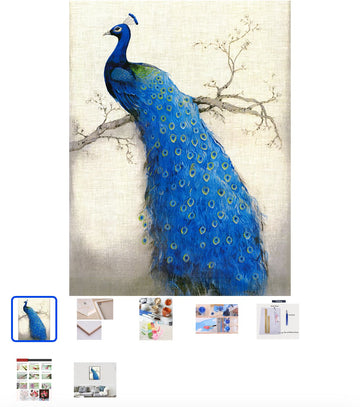 Fuumuui painting by numbers peacock