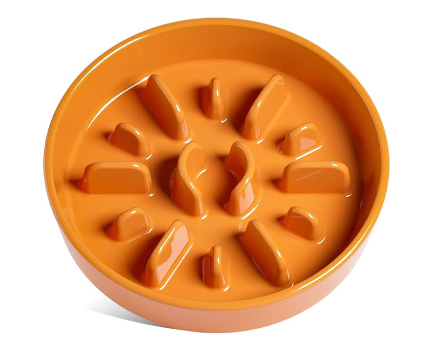 Slow feed dog bowl